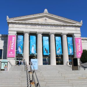 DM_20251018104032_001