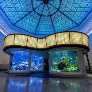 DM_20251018105009_001